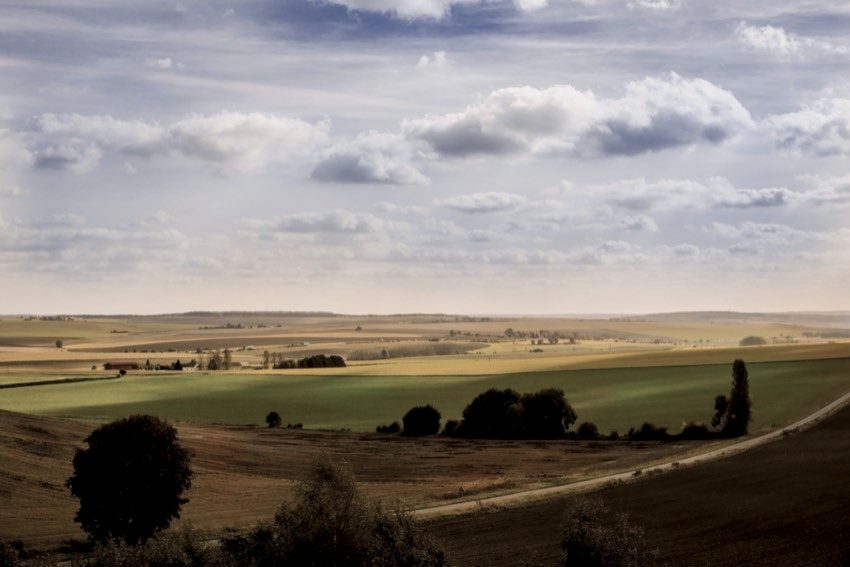 Green farmland under a wide sky